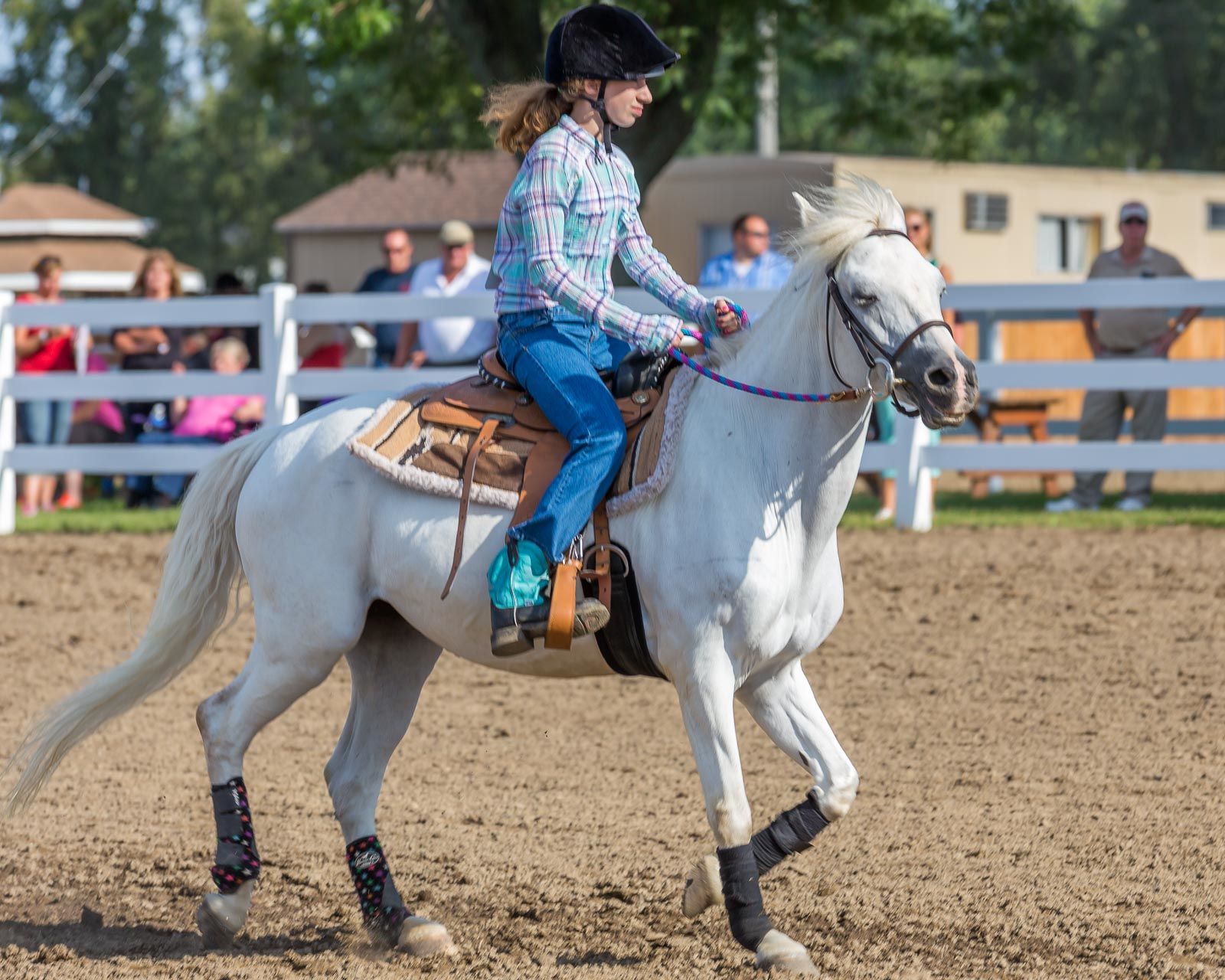 Smiles on Sunday at the Erie County Fair
